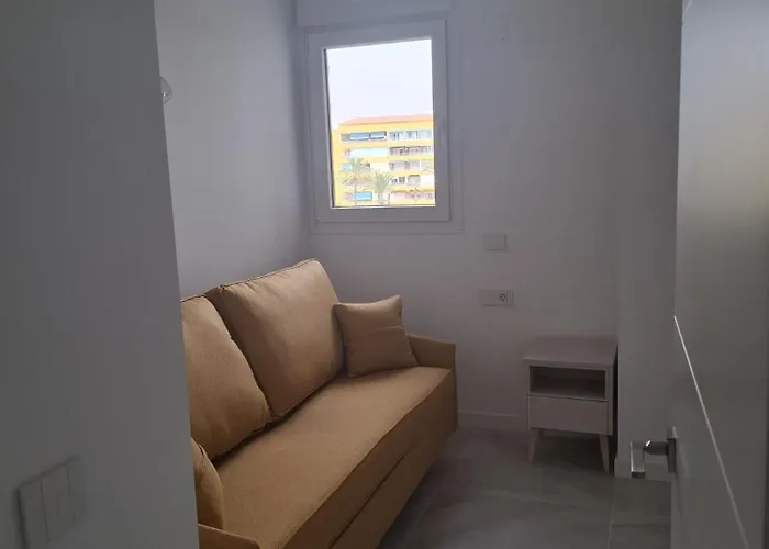 - Valonia * Torrevieja